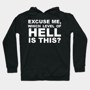 Excuse Me Which Level of Hell Is This ? Hoodie